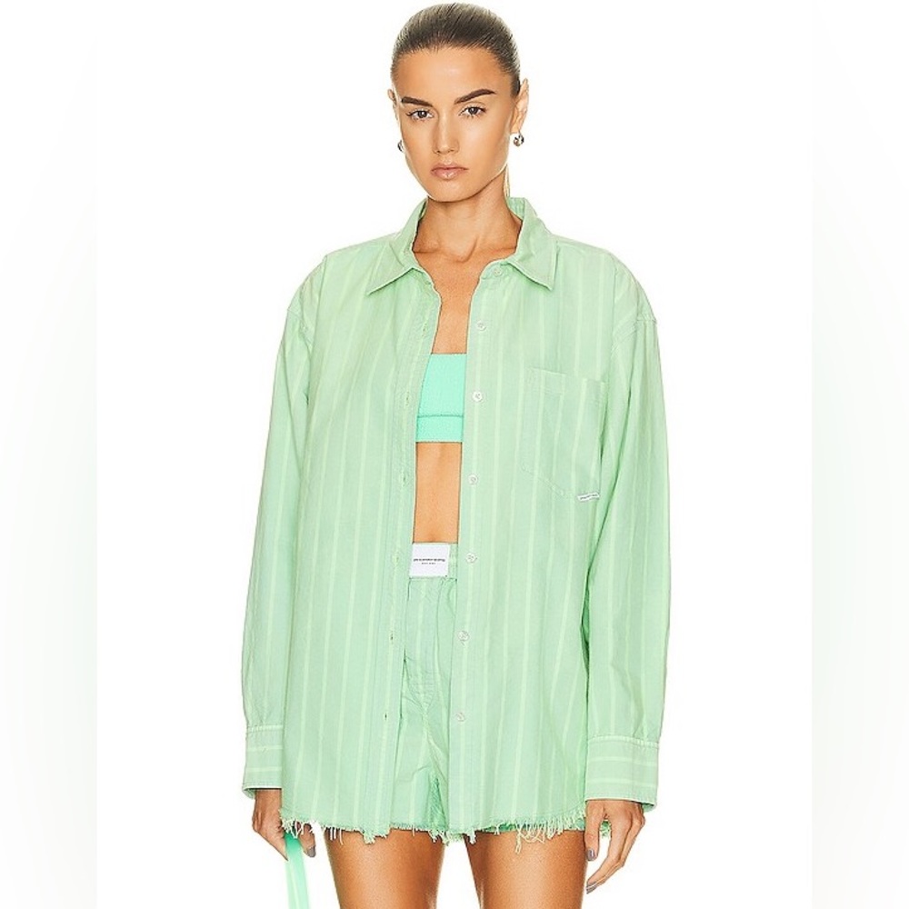 alexander wang green shirt